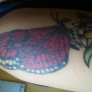 Profilbild von DreamyDove
