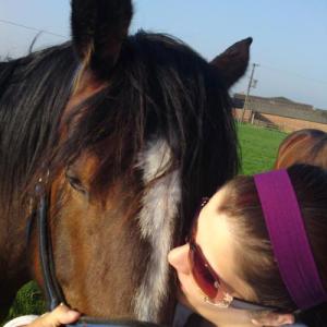 Profilbild von Pferdeliebhaberin