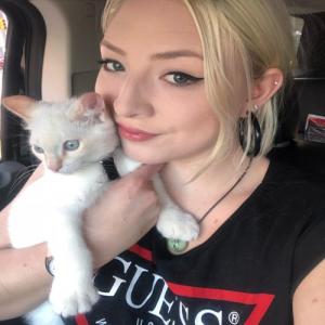 Profilbild von ZweiKaetzchen