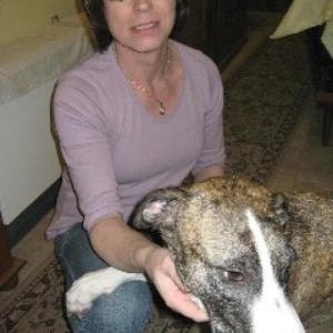 Profilbild von Anne60